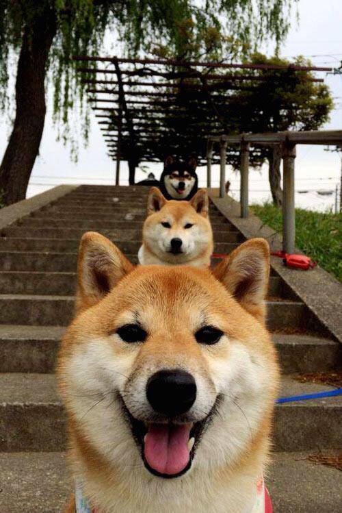 青少年体育锻炼行为干预机制,青少年体育训练原则