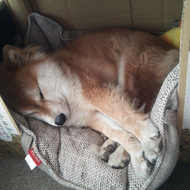 “天府校区体育馆：台球赛场成为2025年世界运动会亮点”