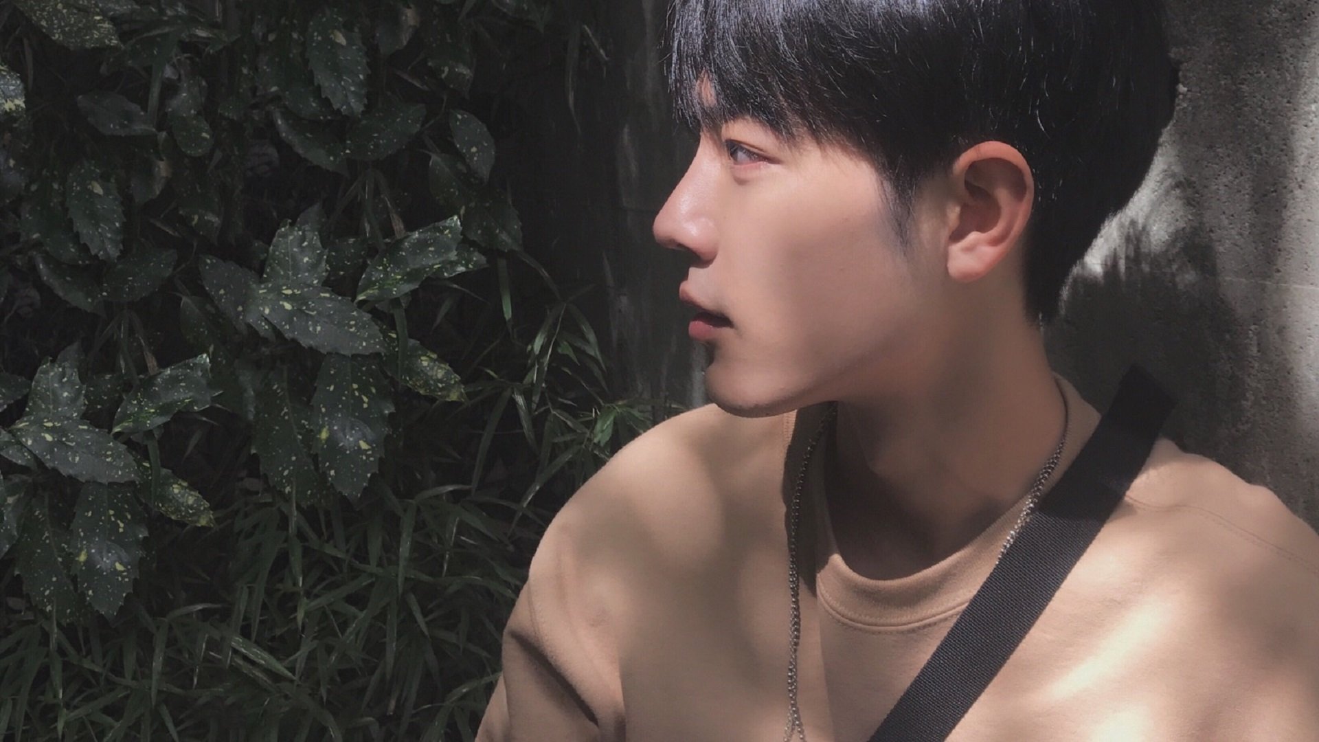 勒沃库森快速轮转增加阵容灵活性，勒沃库森厉害吗