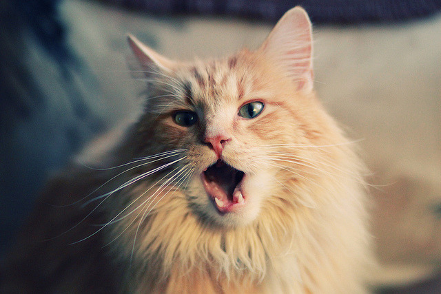 篮球电竞联动尝试吸引新生代球迷群体，篮球电竞球场现场赛 4×5