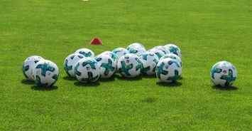 LEYU乐鱼体育官方网站-足球技战术课程进入大学体育选修课，大学足球选修课考试内容