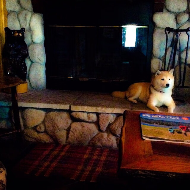 Leyu Sport下载-C罗强势反弹世界杯，c罗踢2022世界杯吗