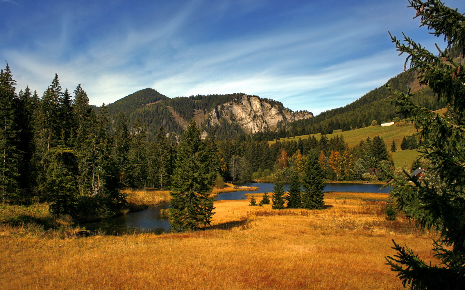 乐鱼娱乐app-克莱尔·柯尔赞展现新生代仰泳实力，yy克莱尔