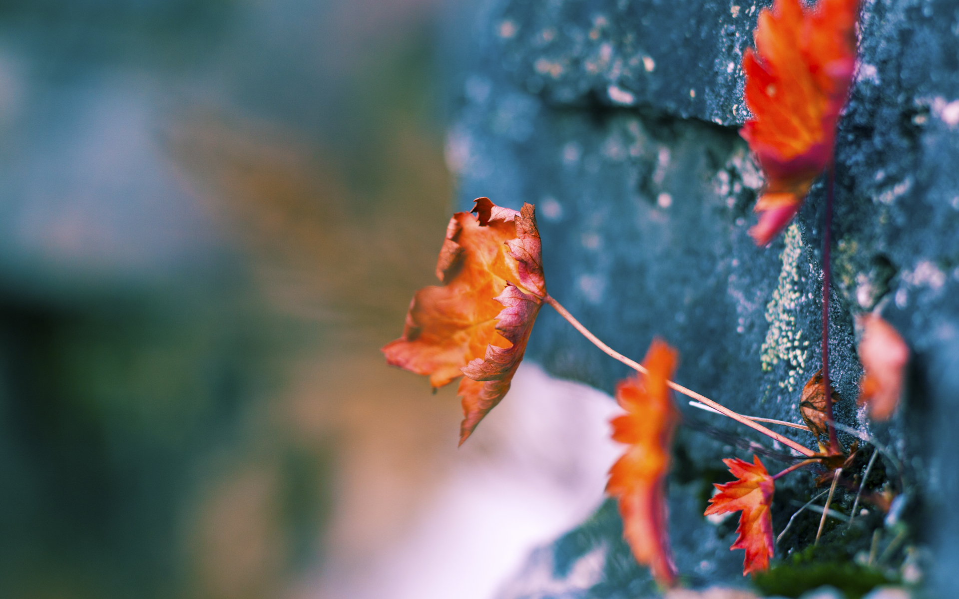 奥尔韦拉赛后感谢团队支持