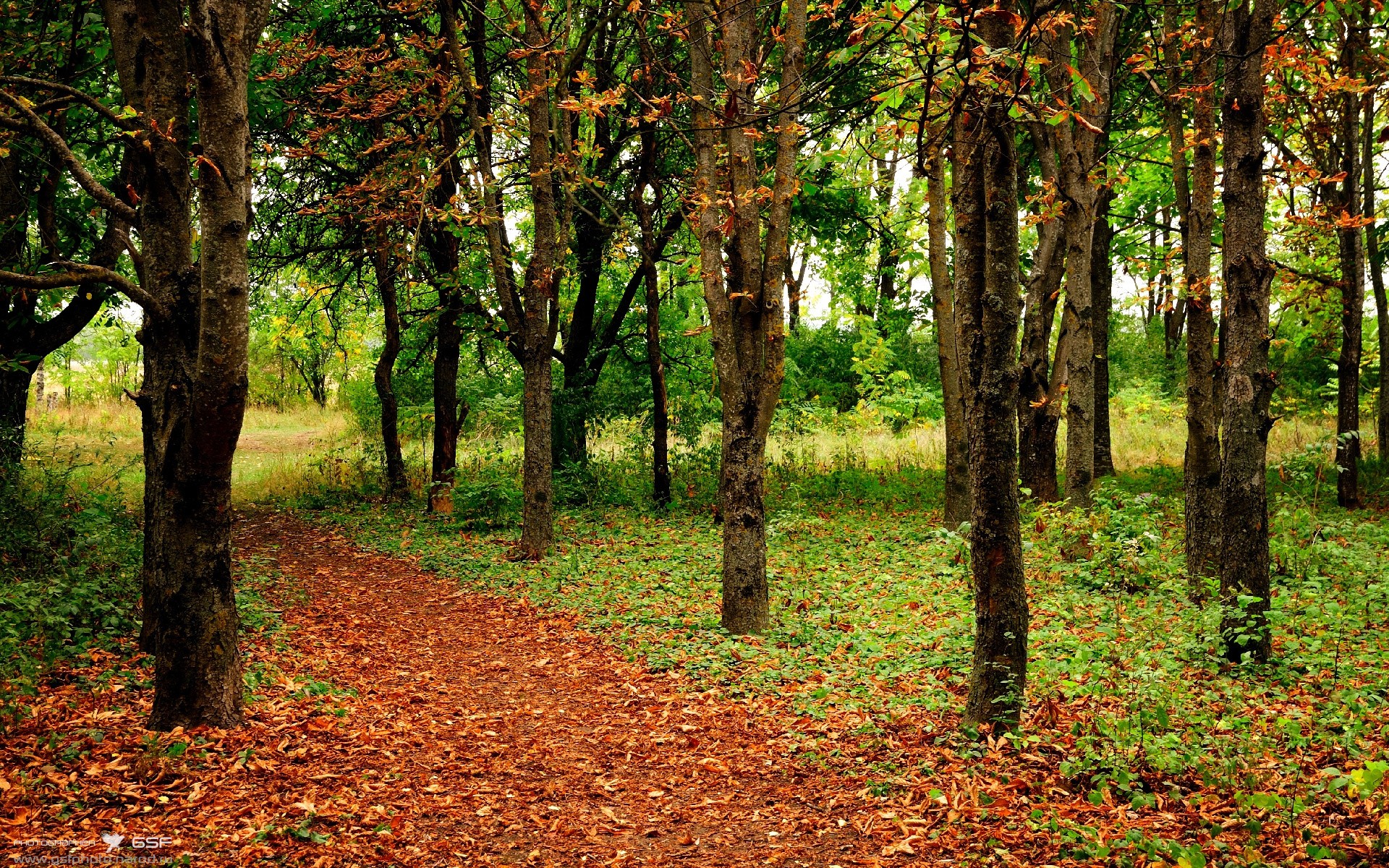 库策冲刺阶段展现惊人速度
