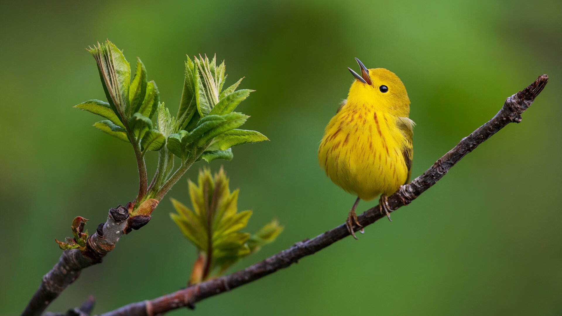数据平台提升分析效率,提升数据分析能力心得体会