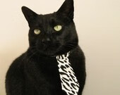 日本国家队信心大增,迎战世预赛关键战