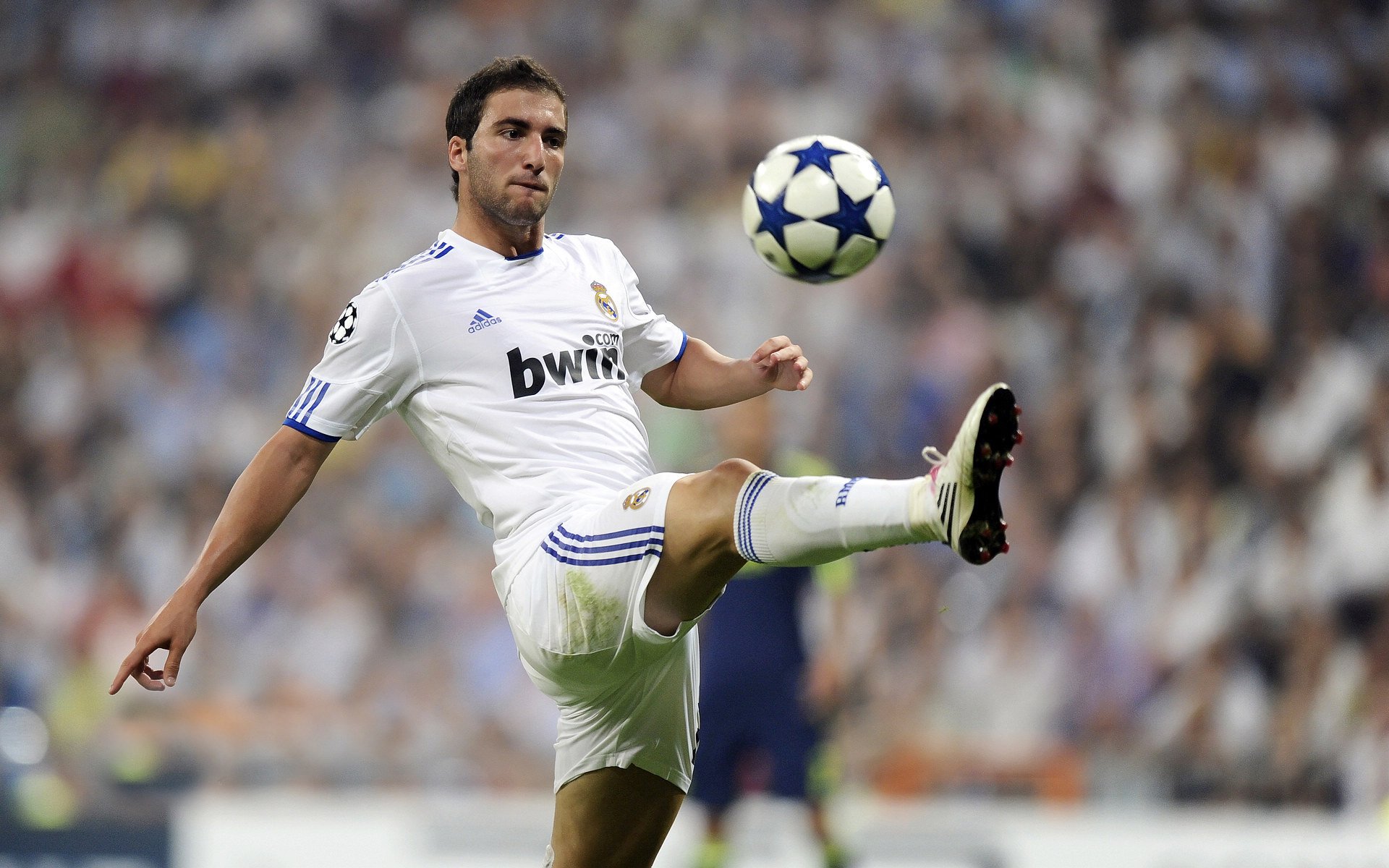 世界卡巴迪联赛总决赛 印度联队凭经验战胜伊朗队